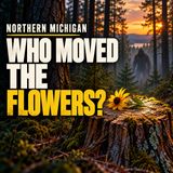 Off-Grid in Northern Michigan: Ashley’s Unexplained Encounters