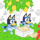 🌿🗺️ Bluey y el Secreto del Jardín Encantado | Audiocuentos