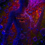 Our Transformed Bodies