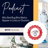 Why Bed Bug Bite Marks Appear in Lines or Clusters