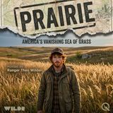 Prairie - Discover the untamed heartland with Ranger Theo Wilder