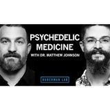 Psychedelics for Treating Mental Disorders _ Dr. Matthew Johnson