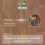Abiove eleva em 1,5% projeção para exportações brasileiras de soja