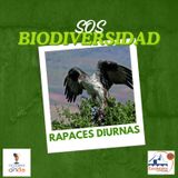 SOS Biodiversidad_Pico y Pata