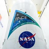 NASA’s new PACE satellite reaches orbit