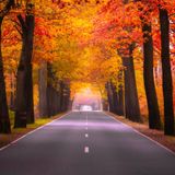 Jesień za kierownicą