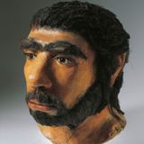Homo Sapiens: significato, storia e caratteristiche