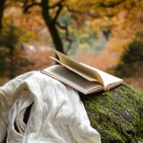 Da TI LASCIO ANDARE di Daniel Lumera ✨ Il Perdono e il Cuore_✨