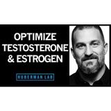 The Science of How to Optimize Testosterone & Estrogen