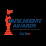 Brendan Canning Talks About The Barkademy Awards