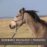 Budowanie odległośći w treningu koni - fragment live 174