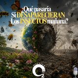NUESTRO OXÍGENO ¿Que pasaría si los insectos desaparecieran mañana