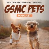GSMC Pets Podcast Episode 104:  Caring for a Senior Pet