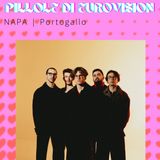 Pillole di Eurovision 2025: Ep. 7 Napa