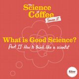 What Is Good Science? Part 2: How to think like a scientist