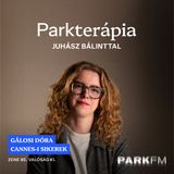 Hogy lehet eljutni a Cannes-i filmfesztivál vörös szőnyegére? - Gálosi Dóra | Park FM - Parkterápia