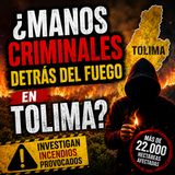 ¿Manos criminales detrás del fuego en Tolima? 🚨🔥