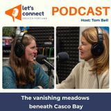 The vanishing meadows beneath Casco Bay