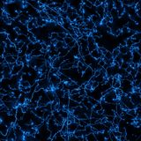 The Edge of Our Understanding with Brian Greene