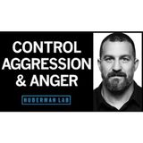 Understanding & Controlling Aggression _ Huberman Lab Podcast #71