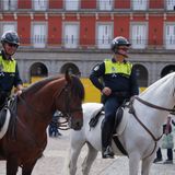 La República de los Tonnntos: La "propuesta" del PSOE de poner pañales a los caballos
