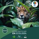 NUESTRO OXÍGENO ¿Que son las especies sombrilla Conceptos claves en ecología