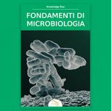 Fondamenti di microbiologia: batteri, virus e microrganismi