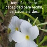 La humildad es dar y recibir.