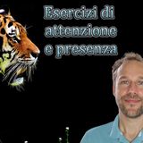 ATTENZIONE E PRESENZA: quanto riesci davvero a essere "qui"?