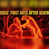 Edgar Cayce Reveals Where Dogs' Souls Go in the First 3 Days