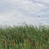 AI and Our Potential as Human Beings