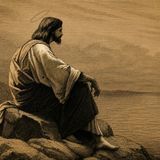 Homily for 15th Sunday in Ordinary Time 7-12-26, Year A