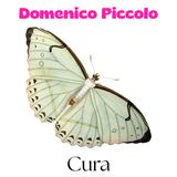 Cura