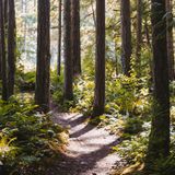 Finding God's Will in the Everyday