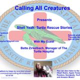Calling All Creatures Presents Shell Yeah! Turtle Rescue Stories