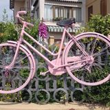 Giro d’Italia in… tour nell’Altovicentino tra pioggia e tanto rosa tra le strade – DIRETTA