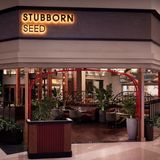 Stubborn Seed Las Vegas Yes or No? | Jeremy Ford Fine Dining at Resorts World