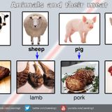 Lesson 76 - Animals and their meats in Lingala (Ba nyama na misuni na bango)