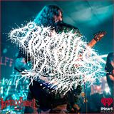 Frog Mallet | How a Facebook Group Chat Became Metal’s Most Unhinged Frog Band