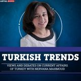 Turkish government uses troll armies to dominate public discourse-analyst