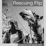 Rescuing Flip 8:14:22 12.34 PM