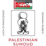 Il caso al-Akhras e i prigionieri palestinesi,Che Guevara e la Palestina,Holliwood e la Palestina
