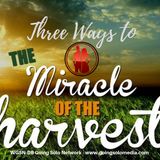 3 Ways to the Miracle Harvest - Part 2 - Davida Smith
