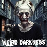 The Aberdeen Witch Whose Curses Killed for 25 Years and Burned For Listening To Satan