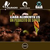 NUESTRO OXIGENO Cada alimento es un pedacito de suelo