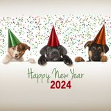 BLC You in 2024 | The Black Lincoln Collective Comedy Podcast