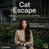 Cat Escape - Uncover the great feline getaway with Juniper Snout