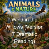 Wind in the Willows Version 7 Dramatic Reading - Kenneth Grahame