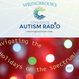 Navigating the Holidays on the Spectrum