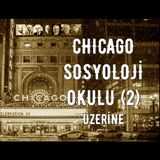 Chicago Sosyoloji Okulu Üzerine (2): Boğa Gözü, Sembolik Etkileşimcilik, Hariciler ve Tımarhaneler